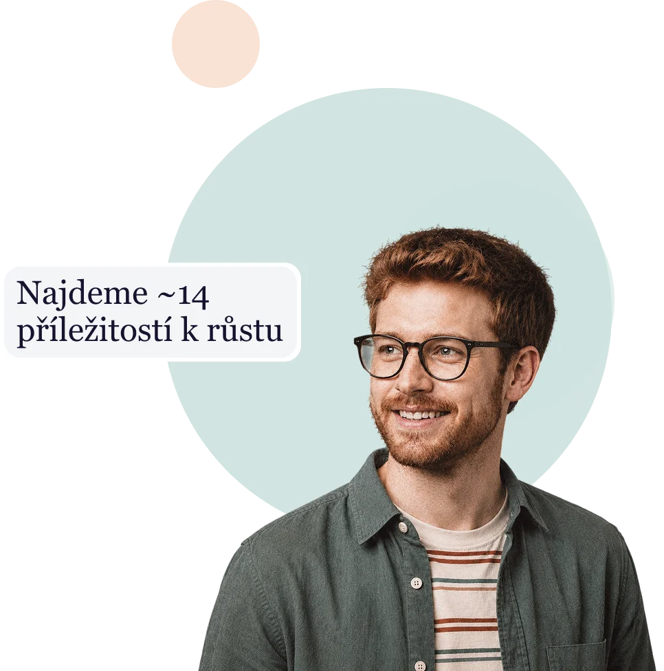 Radek Šnajdr, analytik a konzultant
